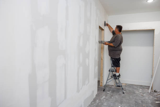 Mold Odor Removal Services in Hollister, CA