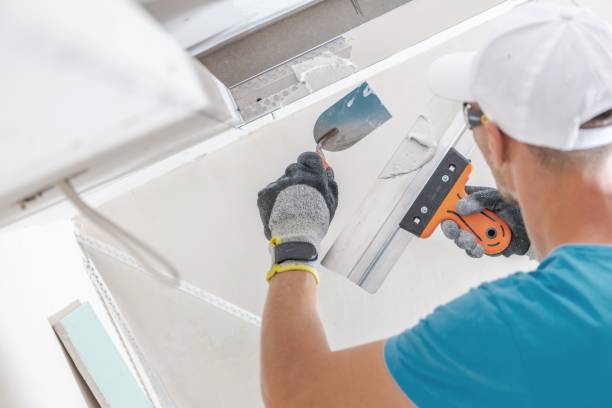  Hollister, CA Mold Removal Pros